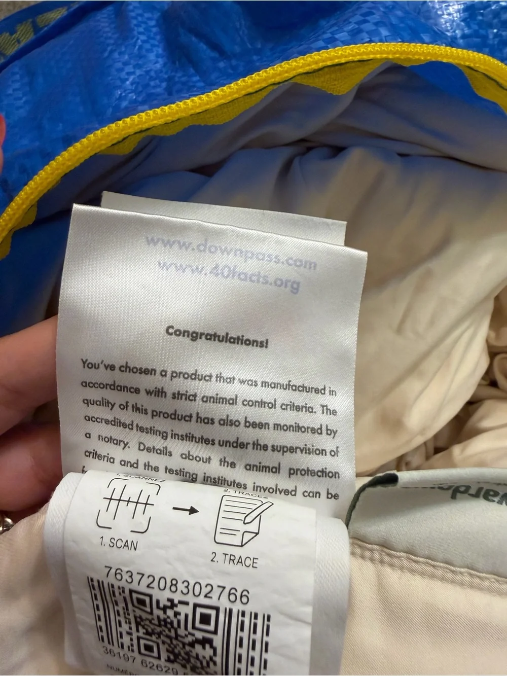 Rewardown Down comforter